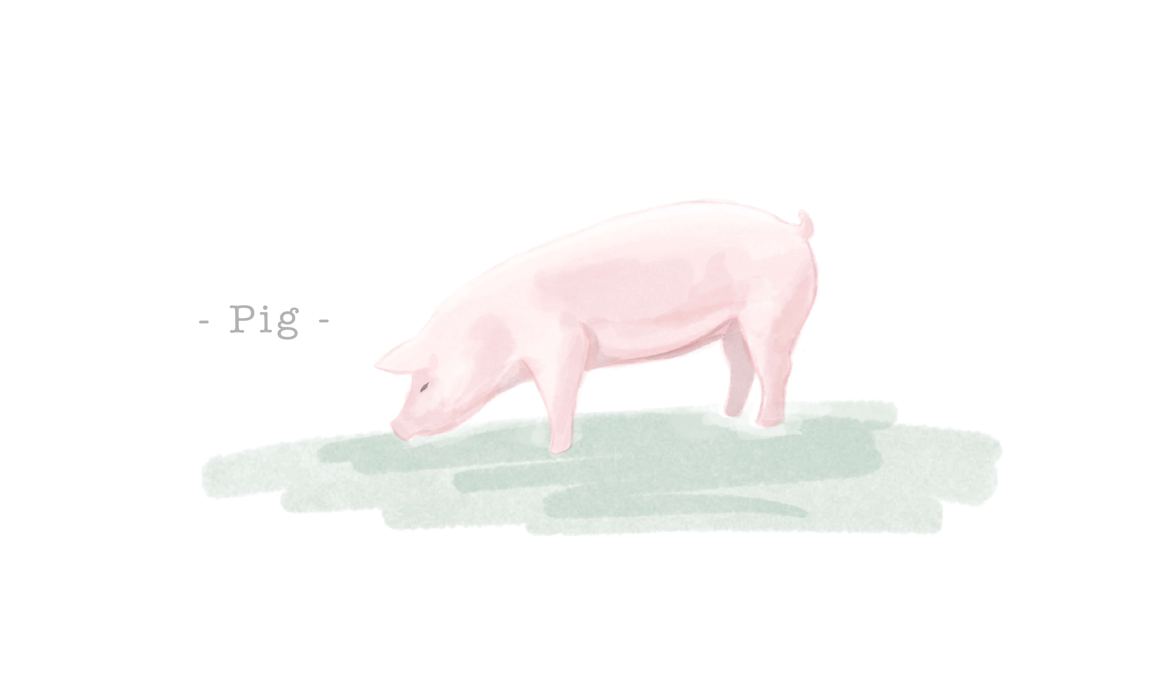 豚革（ピッグスキン）