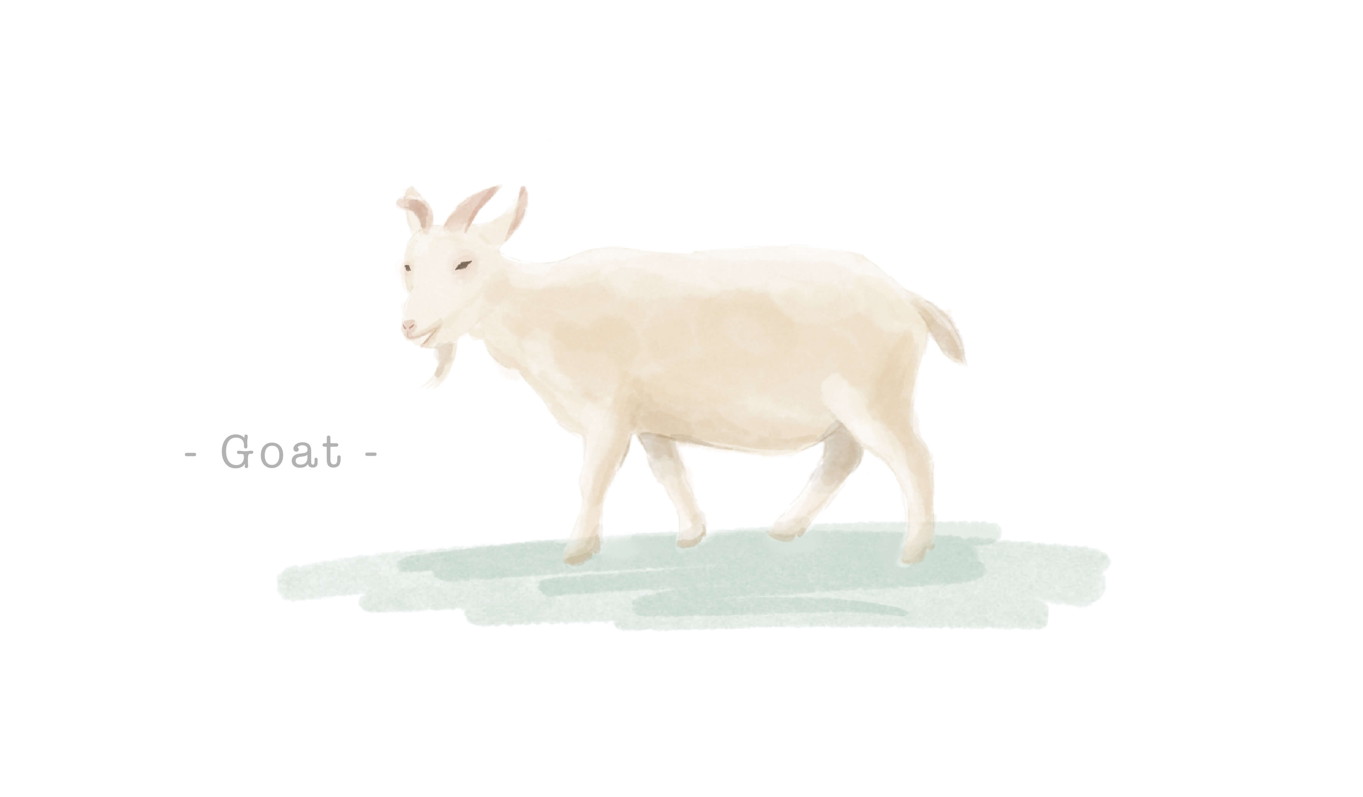 ヤギ革（ゴートスキン・キッドスキン）