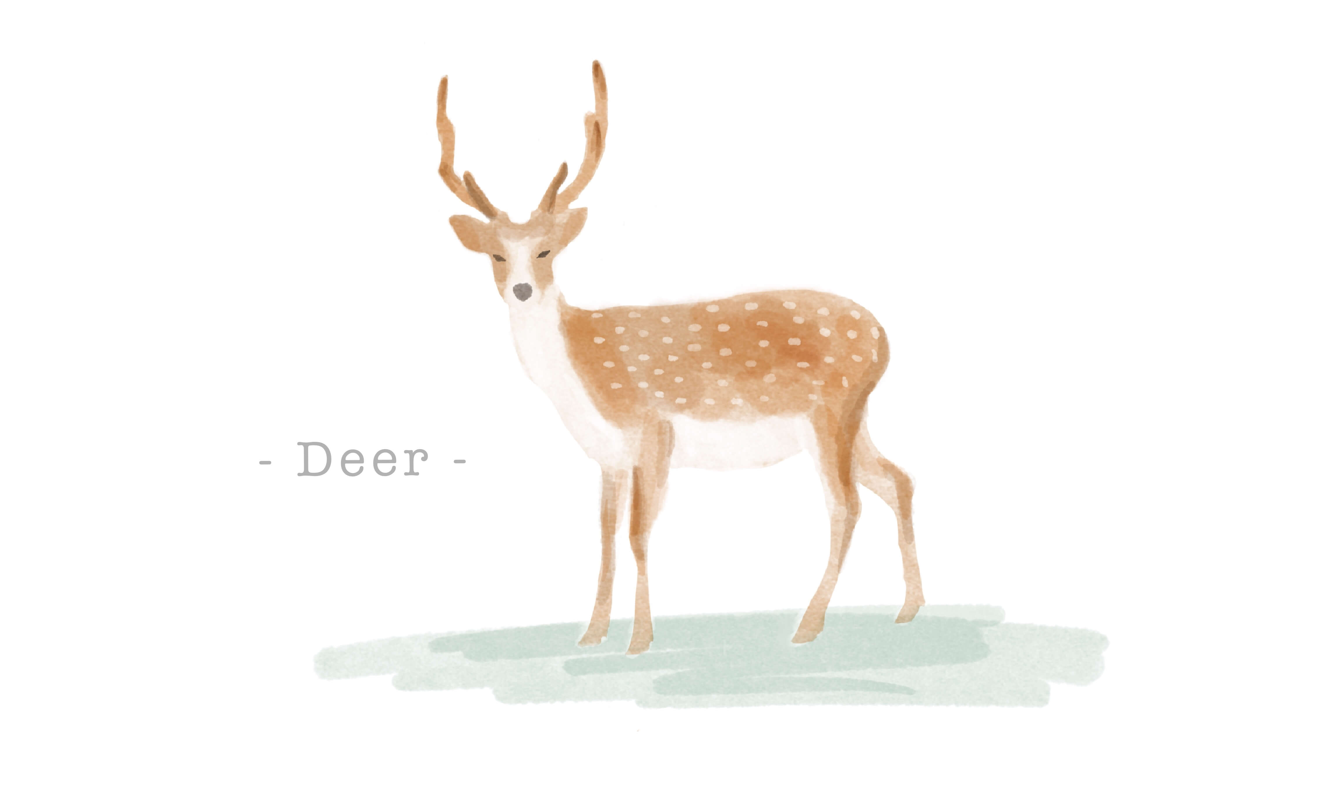 鹿革（ディアスキン）