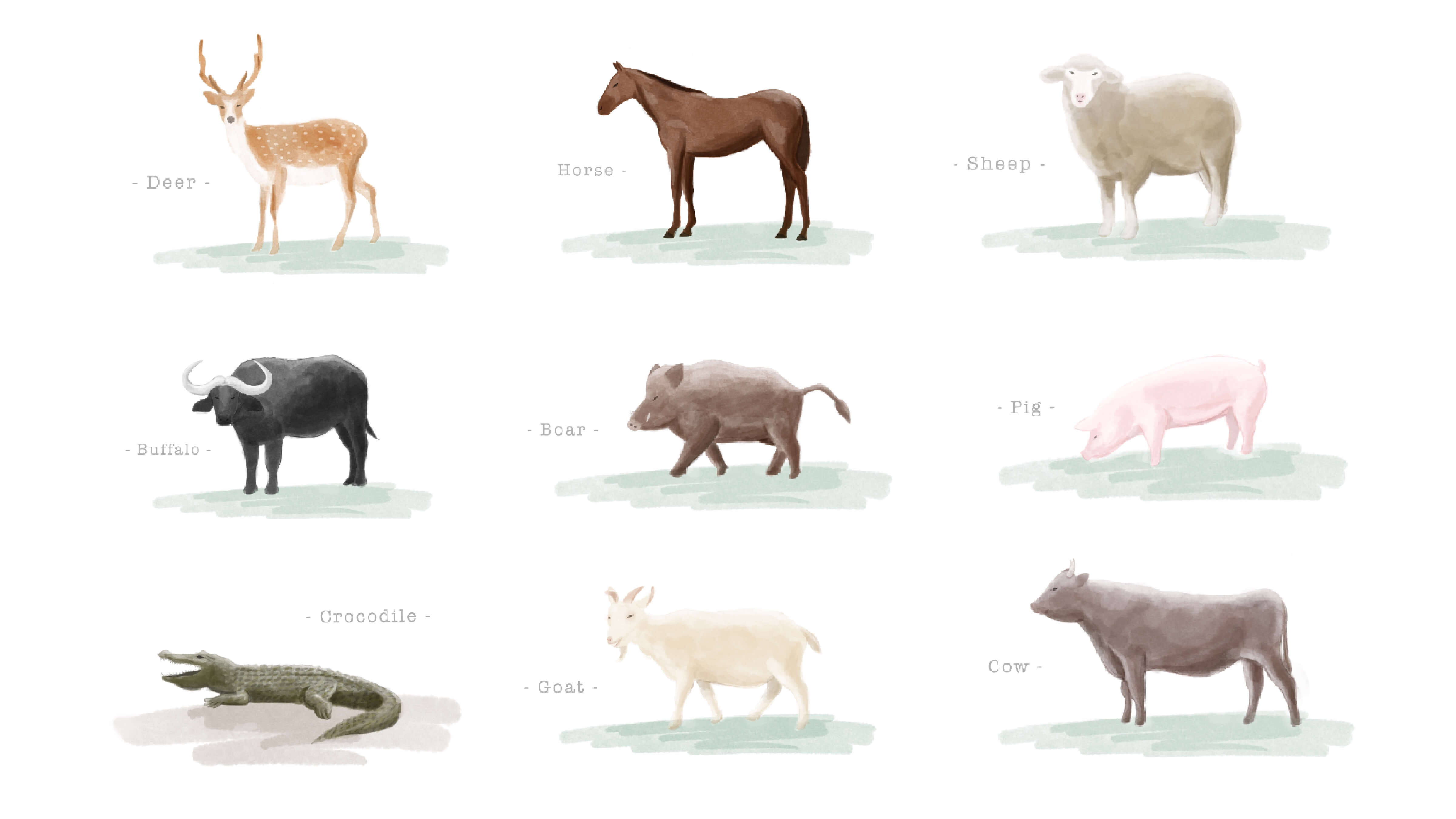 さまざまな動物の革